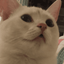 aesthetic